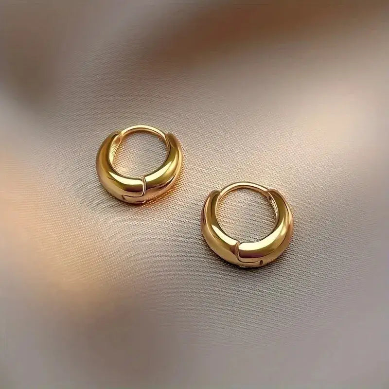 Small Gold or Silver Hoop Earrings – Stainless Steel