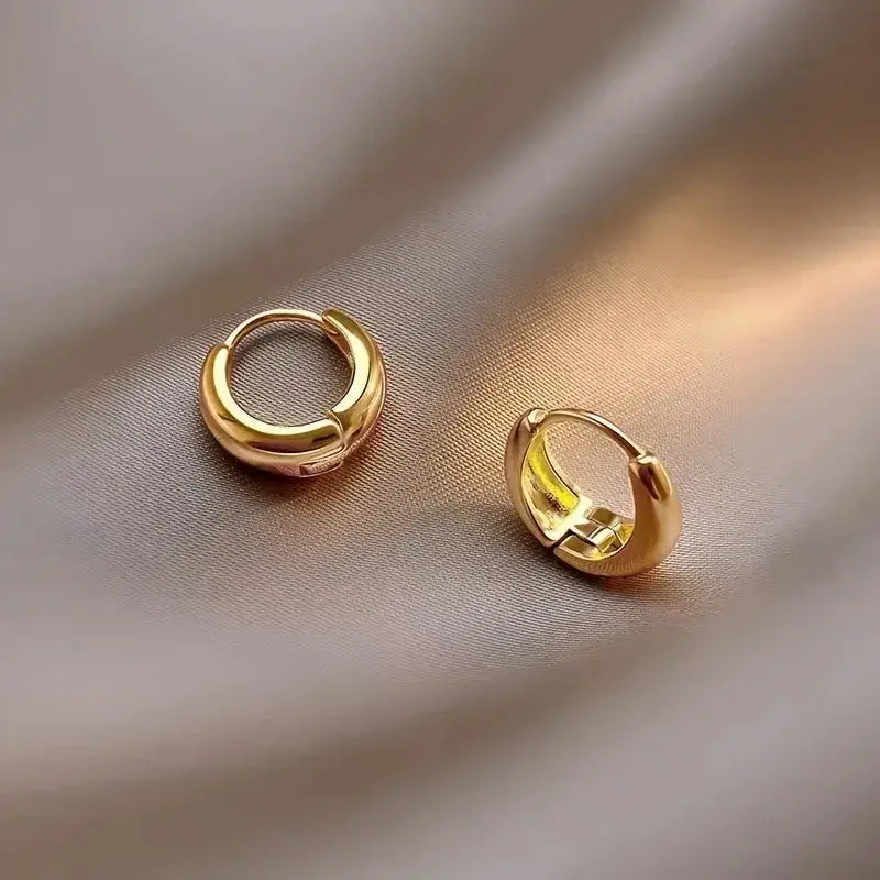 Small Gold or Silver Hoop Earrings – Stainless Steel